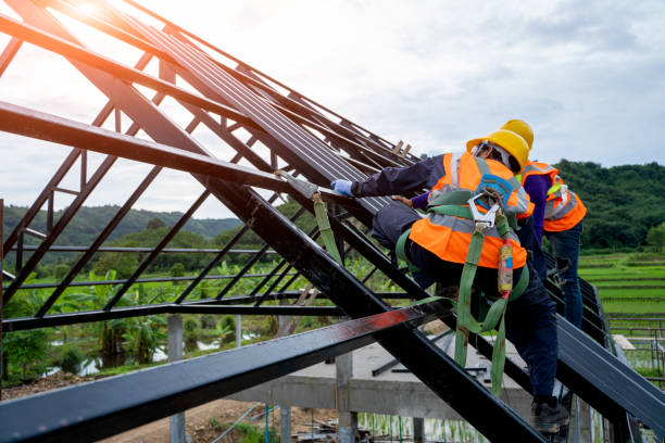 Best Gutter Installation and Roofing  in Rden City, GA