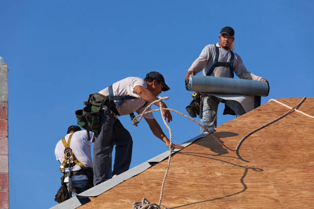 Best Roof Repair Estimates  in Rden City, GA