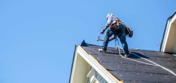 Best Gutter Installation and Roofing  in Rden City, GA